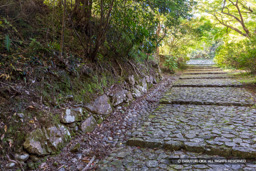 大手道腰巻石垣 | 高解像度画像サイズ:8069 x 5382 pixels | 写真番号:344A4904 | 撮影:Canon EOS R5