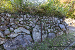 大手門鏡石 | 高解像度画像サイズ:8192 x 5464 pixels | 写真番号:344A4909 | 撮影:Canon EOS R5