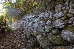 本丸石垣（腰巻石垣） | 高解像度画像サイズ：8192 x 5464 pixels | 写真番号：344A4913 | 撮影：Canon EOS R5