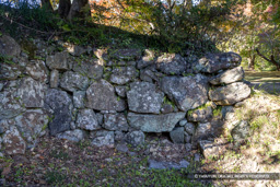 暗渠 | 高解像度画像サイズ:8192 x 5464 pixels | 写真番号:344A4928 | 撮影:Canon EOS R5