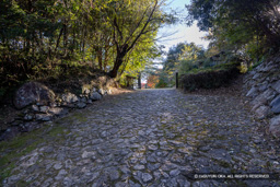 搦手門跡 | 高解像度画像サイズ:8192 x 5464 pixels | 写真番号:344A4952 | 撮影:Canon EOS R5