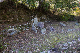枯山水庭園跡 | 高解像度画像サイズ:8192 x 5464 pixels | 写真番号:344A4979 | 撮影:Canon EOS R5