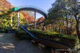 滑り台・西の丸 | 高解像度画像サイズ:8192 x 5464 pixels | 写真番号:344A4988 | 撮影:Canon EOS R5