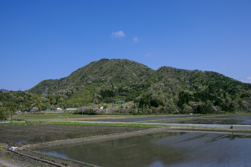 鳥坂城遠景