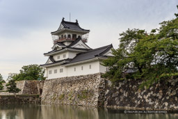 富山市郷土博物館｜高解像度画像サイズ：5472 x 3648 pixels｜写真番号：IMG_5433｜撮影：Canon EOS 6D