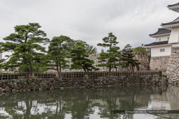 本丸土橋｜高解像度画像サイズ：5472 x 3648 pixels｜写真番号：IMG_5448｜撮影：Canon EOS 6D