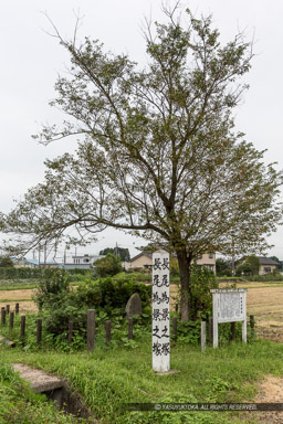 為景塚｜高解像度画像サイズ：3451 x 5176 pixels｜写真番号：IMG_5752｜撮影：Canon EOS 6D