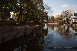 本丸内堀｜高解像度画像サイズ：6720 x 4480 pixels｜写真番号：5D4A6201｜撮影：Canon EOS 5D Mark IV