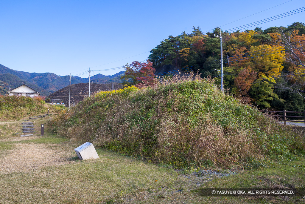 土塁・大手外曲輪・大手門東史跡公園