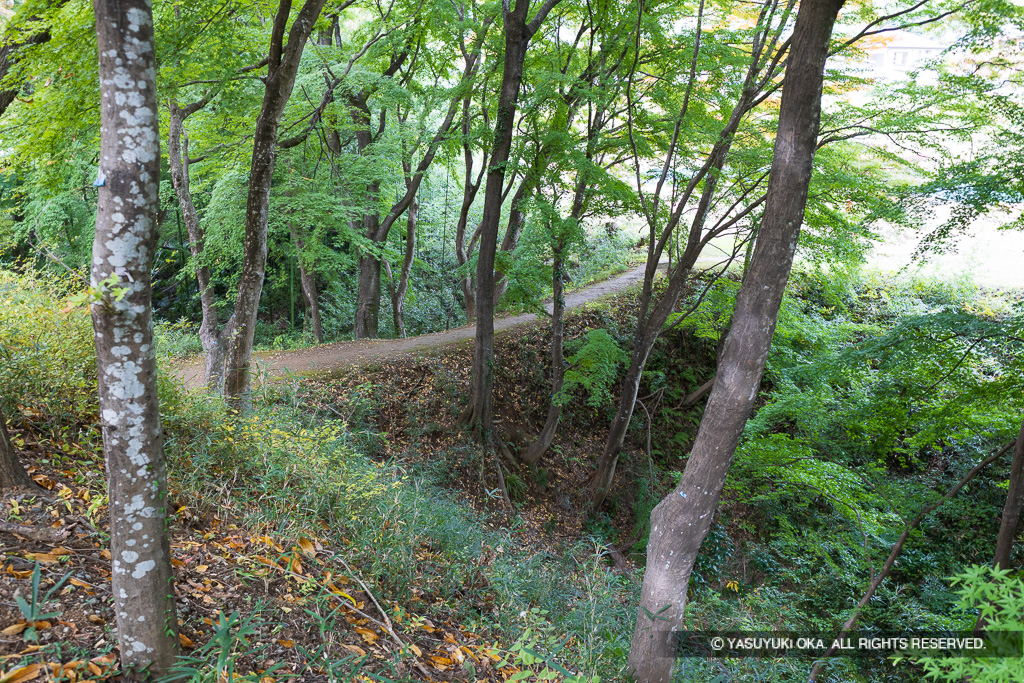 西曲輪北側土橋
