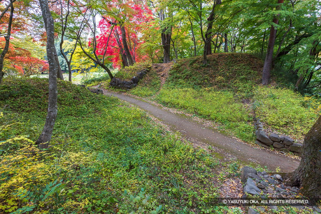 西曲輪北側枡形虎口