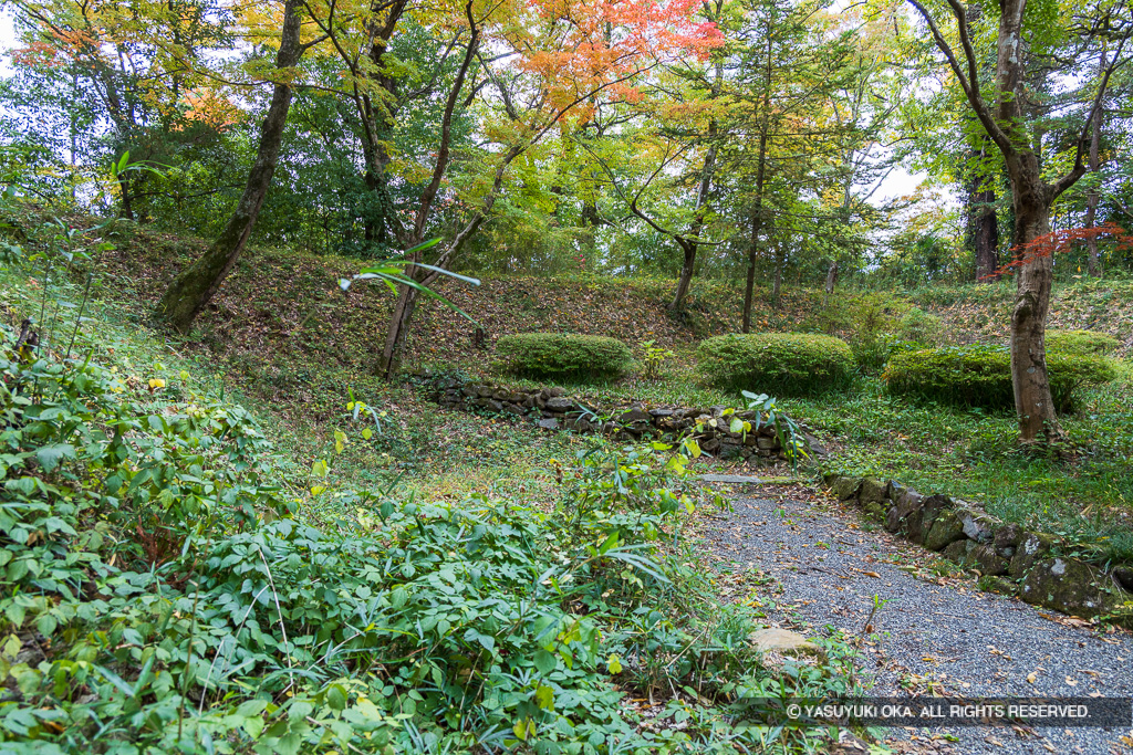 土塁・主郭中曲輪