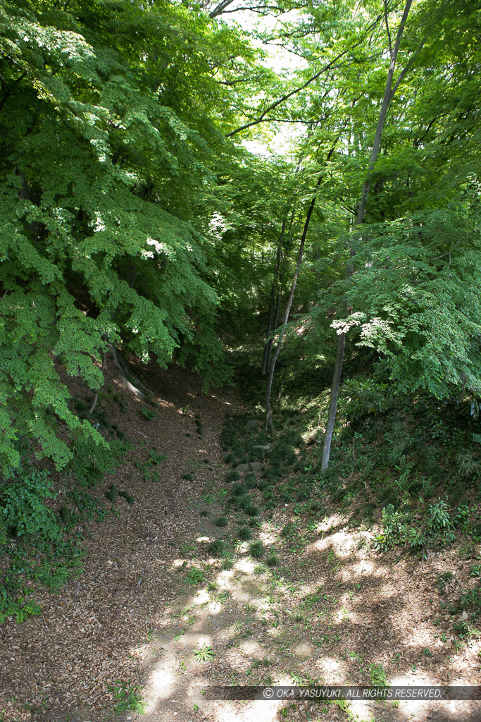 躑躅ヶ崎館の堀跡