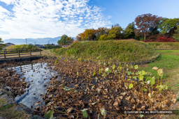 惣堀・大手外曲輪・大手門東史跡公園 | 高解像度画像サイズ：8192 x 5464 pixels | 写真番号：6F1A4779 | 撮影：Canon EOS R5m2
