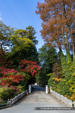大手門跡 | 高解像度画像サイズ:4624 x 6933 pixels | 写真番号:6F1A4793 | 撮影:Canon EOS R5m2