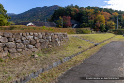 大手石垣・武田氏館跡大手外曲輪 | 高解像度画像サイズ：8192 x 5464 pixels | 写真番号：6F1A4801 | 撮影：Canon EOS R5m2