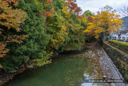 内掘 | 高解像度画像サイズ:8192 x 5464 pixels | 写真番号:6F1A4839 | 撮影:Canon EOS R5m2