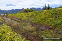 松木堀 | 高解像度画像サイズ:8192 x 5464 pixels | 写真番号:6F1A4873 | 撮影:Canon EOS R5m2