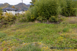 南西虎口門跡・梅翁曲輪 | 高解像度画像サイズ：8192 x 5464 pixels | 写真番号：6F1A4880 | 撮影：Canon EOS R5m2