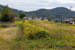 土塁・梅翁曲輪 | 高解像度画像サイズ:8192 x 5464 pixels | 写真番号:6F1A4881 | 撮影:Canon EOS R5m2