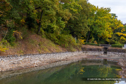 武田氏館跡南西内掘・みその橋 | 高解像度画像サイズ：8192 x 5464 pixels | 写真番号：6F1A4885 | 撮影：Canon EOS R5m2