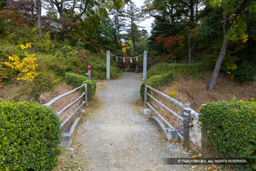 みその橋 | 高解像度画像サイズ:8192 x 5464 pixels | 写真番号:6F1A4888 | 撮影:Canon EOS R5m2