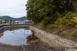 武田氏館跡南西内掘 | 高解像度画像サイズ：8192 x 5464 pixels | 写真番号：6F1A4889 | 撮影：Canon EOS R5m2