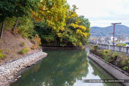 武田氏館内掘 | 高解像度画像サイズ:8192 x 5464 pixels | 写真番号:6F1A4890 | 撮影:Canon EOS R5m2