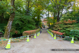 西曲輪土橋 | 高解像度画像サイズ:7134 x 4758 pixels | 写真番号:6F1A4895 | 撮影:Canon EOS R5m2