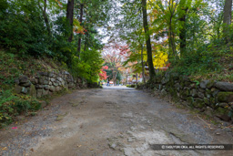 本丸虎口（西曲輪へ至る） | 高解像度画像サイズ：8192 x 5464 pixels | 写真番号：6F1A4898 | 撮影：Canon EOS R5m2