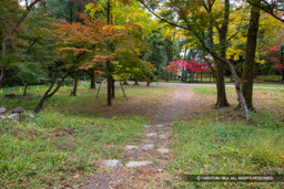 西曲輪跡 | 高解像度画像サイズ:7987 x 5327 pixels | 写真番号:6F1A4901 | 撮影:Canon EOS R5m2