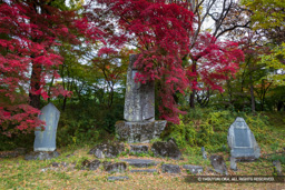 征清記念碑・西曲輪跡 | 高解像度画像サイズ：8192 x 5464 pixels | 写真番号：6F1A4904 | 撮影：Canon EOS R5m2