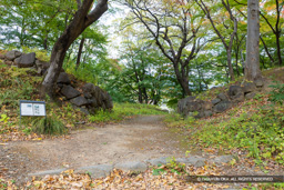 西曲輪北側枡形虎口 | 高解像度画像サイズ：8192 x 5464 pixels | 写真番号：6F1A4906 | 撮影：Canon EOS R5m2