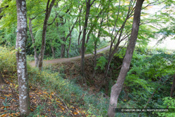 西曲輪北側土橋 | 高解像度画像サイズ:8192 x 5464 pixels | 写真番号:6F1A4918 | 撮影:Canon EOS R5m2
