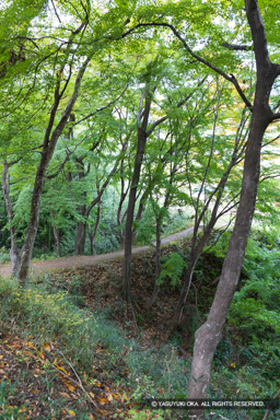 西曲輪北側土橋 | 高解像度画像サイズ:5464 x 8192 pixels | 写真番号:6F1A4919 | 撮影:Canon EOS R5m2