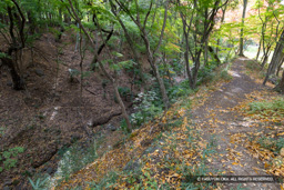 本丸空掘・右手は西曲輪跡 | 高解像度画像サイズ：8192 x 5464 pixels | 写真番号：6F1A4920 | 撮影：Canon EOS R5m2