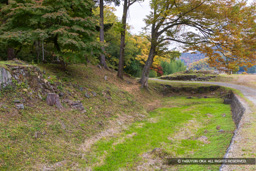 主郭北側空掘 | 高解像度画像サイズ:8192 x 5464 pixels | 写真番号:6F1A4947 | 撮影:Canon EOS R5m2