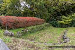 主郭北虎口付近か | 高解像度画像サイズ:8192 x 5464 pixels | 写真番号:6F1A4948 | 撮影:Canon EOS R5m2