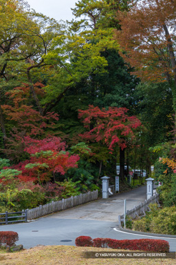 大手門跡 | 高解像度画像サイズ:5190 x 7782 pixels | 写真番号:6F1A4955 | 撮影:Canon EOS R5m2