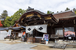武田神社 | 高解像度画像サイズ:8192 x 5464 pixels | 写真番号:6F1A4969 | 撮影:Canon EOS R5m2