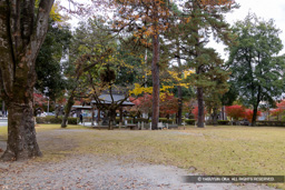 主郭中曲輪 | 高解像度画像サイズ:7294 x 4865 pixels | 写真番号:6F1A4971 | 撮影:Canon EOS R5m2