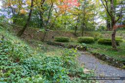 土塁・主郭中曲輪 | 高解像度画像サイズ:8192 x 5464 pixels | 写真番号:6F1A4976 | 撮影:Canon EOS R5m2