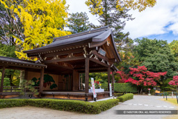 能舞台 | 高解像度画像サイズ:8192 x 5464 pixels | 写真番号:6F1A4978 | 撮影:Canon EOS R5m2