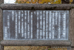 釜無川を見守る「龍」信玄堤公園 | 高解像度画像サイズ：5877 x 3920 pixels | 写真番号：6F1A5282 | 撮影：Canon EOS R5m2