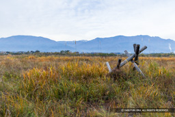 釜無川・信玄堤公園 | 高解像度画像サイズ：8192 x 5464 pixels | 写真番号：6F1A5286 | 撮影：Canon EOS R5m2