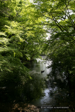 躑躅ヶ崎館の堀跡｜高解像度画像サイズ：3328 x 4992 pixels｜写真番号：VJ7Z7569｜撮影：Canon EOS-1Ds Mark II