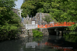 躑躅ヶ崎館・武田神社神橋｜高解像度画像サイズ：4992 x 3328 pixels｜写真番号：VJ7Z7604｜撮影：Canon EOS-1Ds Mark II