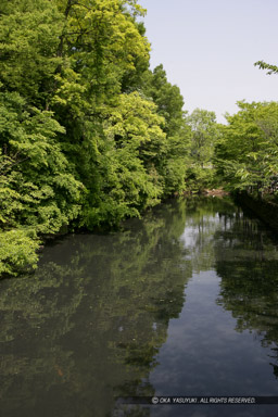 躑躅ヶ崎館の堀跡｜高解像度画像サイズ：3328 x 4992 pixels｜写真番号：VJ7Z7607｜撮影：Canon EOS-1Ds Mark II