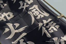 | 高解像度画像サイズ:4992 x 3328 pixels | 写真番号:VJ7Z7612 | 撮影:Canon EOS-1Ds Mark II