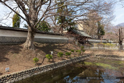 旧上田藩主居館跡｜高解像度画像サイズ：8688 x 5792 pixels｜写真番号：5DSA4479｜撮影：Canon EOS 5DS